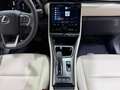 Lexus LBX Elegant+ Gris - thumbnail 40