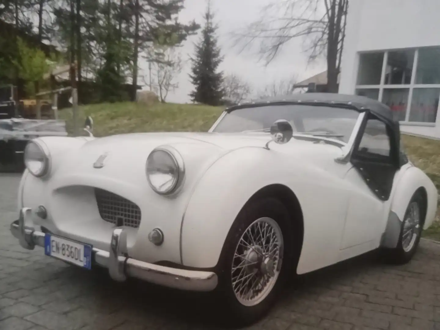 Triumph TR2 1955 Blanc - 2