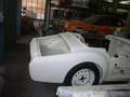 Triumph TR2 1955 completamente restaurato (vedi foto) White - thumbnail 14