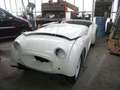 Triumph TR2 1955 completamente restaurato (vedi foto) White - thumbnail 13