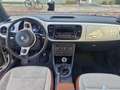 Volkswagen Beetle The 1.2 TSI Beetle Design Blanc - thumbnail 8
