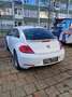 Volkswagen Beetle The 1.2 TSI Beetle Design Blanc - thumbnail 4
