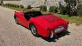 Triumph TR3 1959 Rot - thumbnail 8