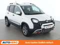 Fiat Panda 1.2 City Cross Weiß - thumbnail 8