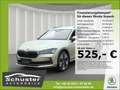 Skoda Superb Combi Selection TDI*DSG AHK 360°Kam Leder Beige - thumbnail 1