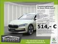 Skoda Superb Combi Selection TDI*DSG AHK 360°Kam Leder Beige - thumbnail 1