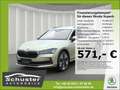 Skoda Superb Combi Selection TDI*DSG AHK 360°Kam Leder Beige - thumbnail 1