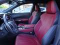 Lexus RX 350 RX 500h Hybrid Turbo F-Sport Grau - thumbnail 11