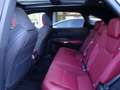 Lexus RX 350 RX 500h Hybrid Turbo F-Sport Grau - thumbnail 12