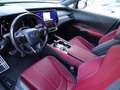 Lexus RX 350 RX 500h Hybrid Turbo F-Sport Grau - thumbnail 10