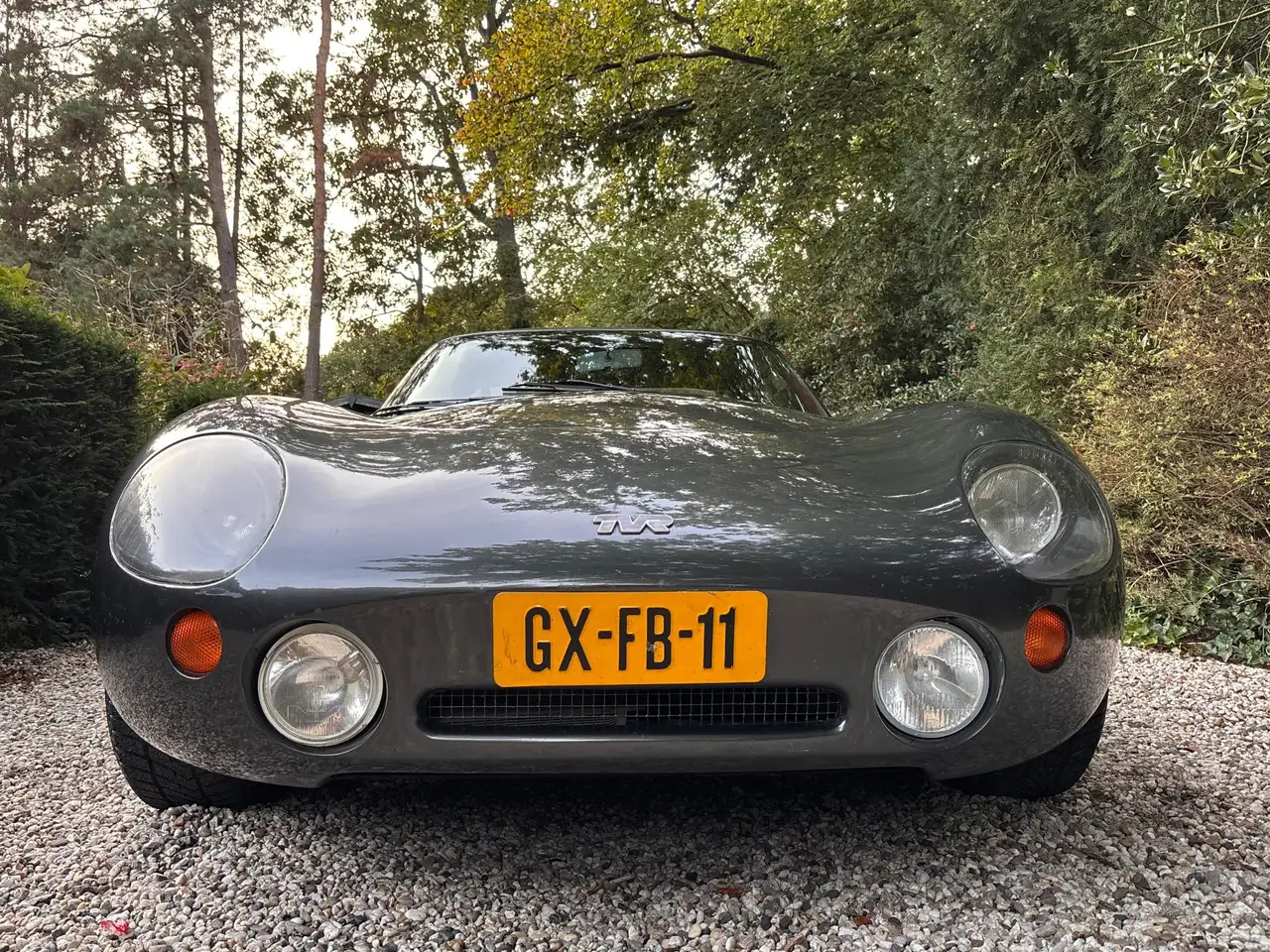 TVR Griffith, foto 7