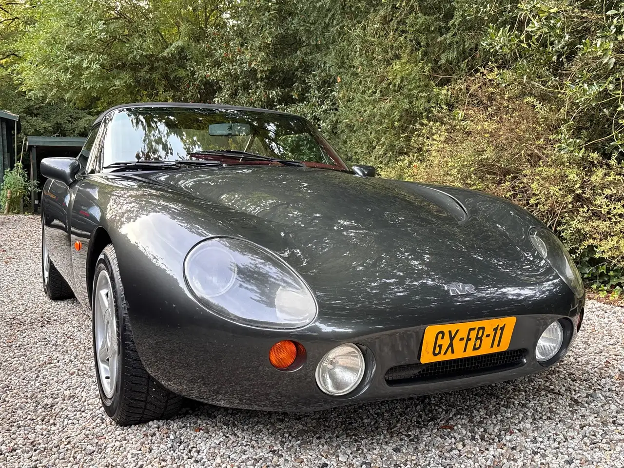 TVR Griffith, foto 3