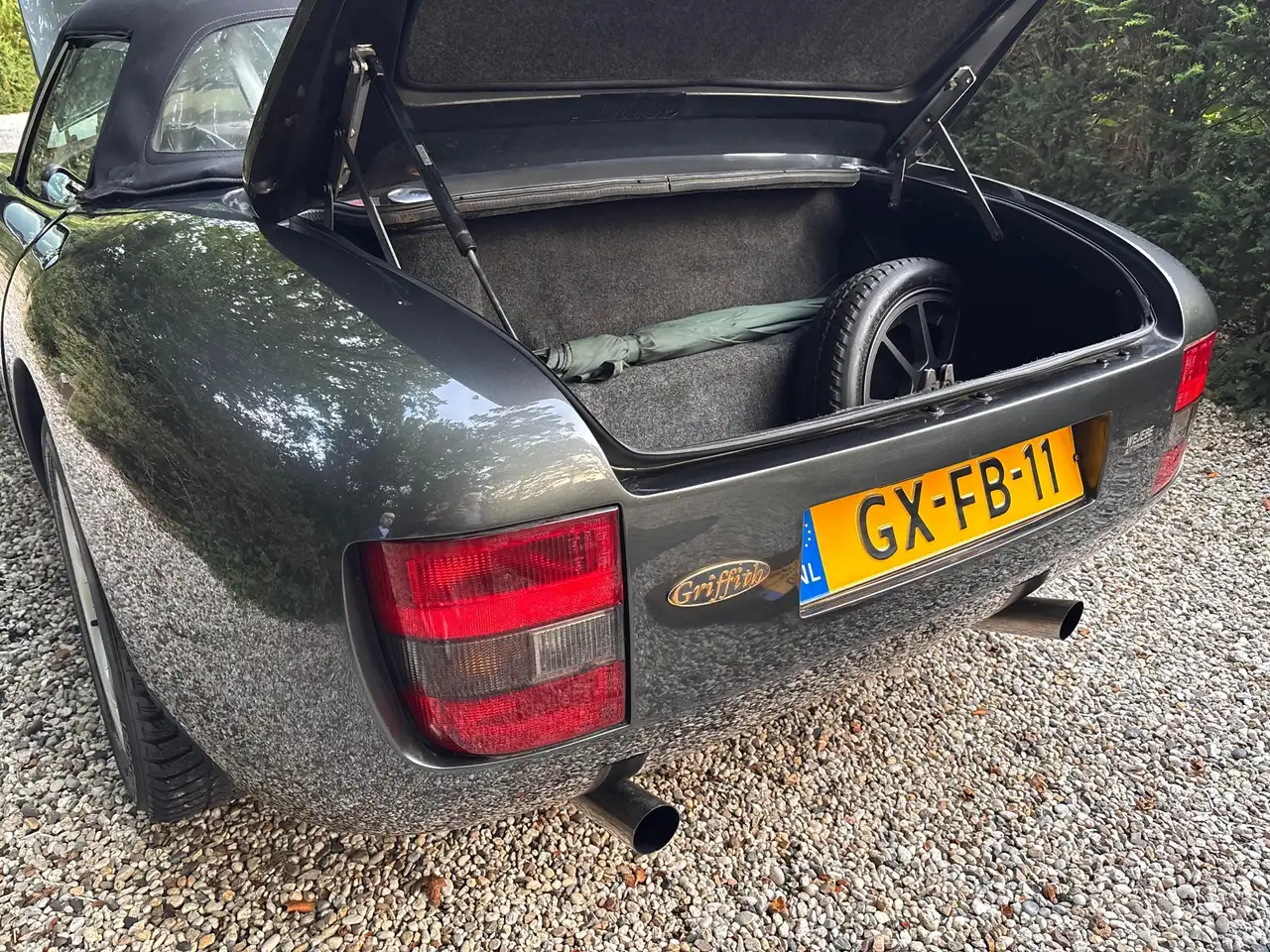 TVR Griffith, foto 12