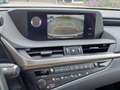 Lexus ES 300 300h Business Line LEDER | OPEN DAK | NL-auto | ri Bruin - thumbnail 12