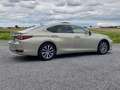 Lexus ES 300 300h Business Line LEDER | OPEN DAK | NL-auto | ri Bruin - thumbnail 44
