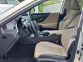 Lexus ES 300 300h Business Line LEDER | OPEN DAK | NL-auto | ri Bruin - thumbnail 36