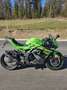 Kawasaki Ninja 125 Vert - thumbnail 1