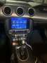 Ford Mustang Mustang Convertible 2.3 ecoboost 317cv auto Nero - thumbnail 5