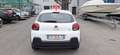 Citroen C3 BlueHDi 100 S&S Business Combi AUTOCARRO 4 POSTI Bianco - thumbnail 3