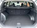 Hyundai TUCSON FL 1.6 T-GDI 48V 7-DCT 2WD PRIME Digital Key Bianco - thumbnail 6