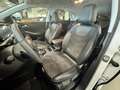 Opel Grandland Grandland 1.5 Ecotec Ultimate Bianco - thumbnail 10