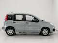 Fiat Panda 1.0 FireFly S&S Hybrid Grey - thumbnail 6