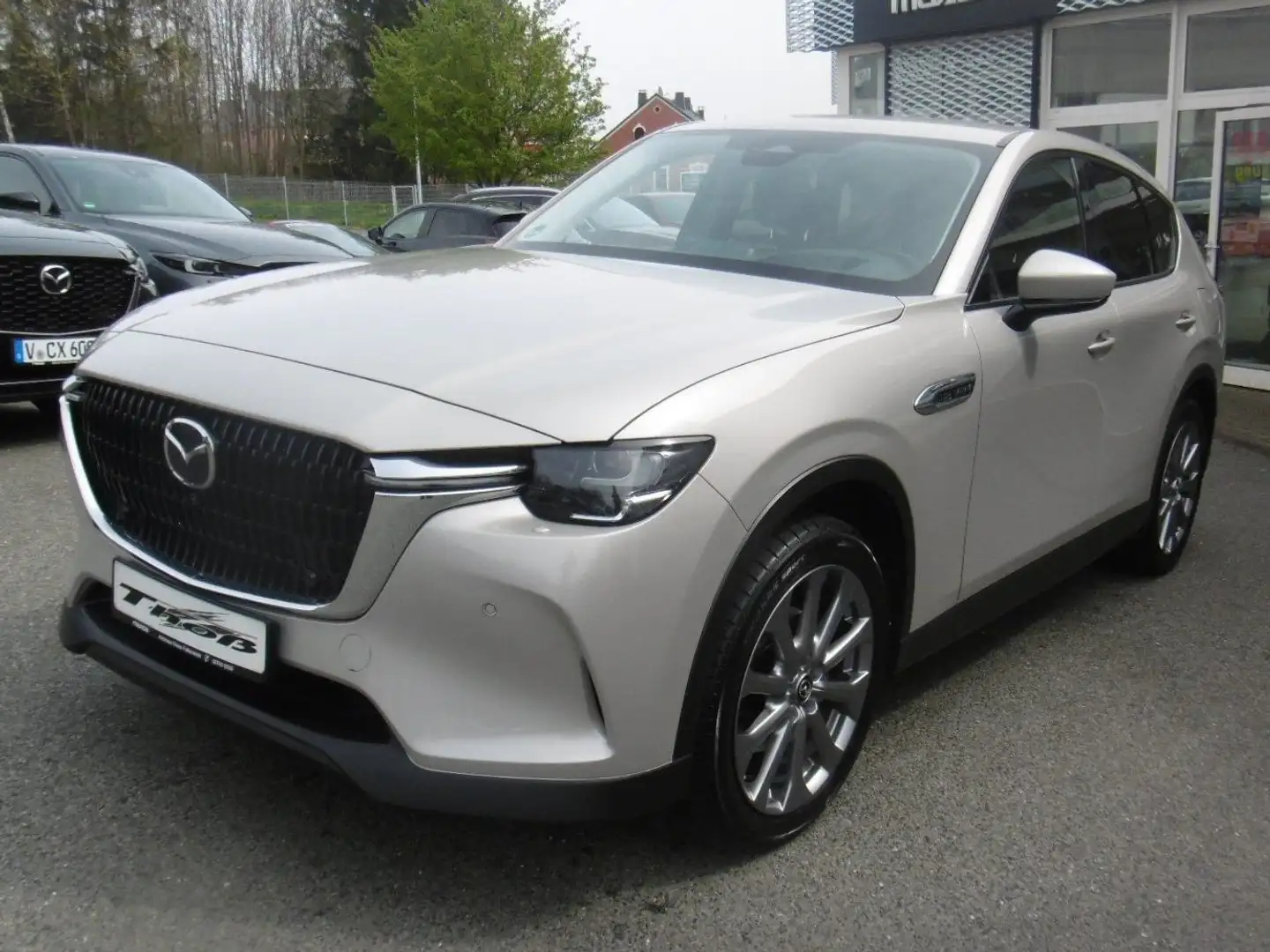 Mazda CX-60 Exclusive-Line 360° Voll-LED SR WR Heat up Grau - 1