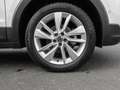 Volkswagen T-Cross 1.0 TSI DSG Life MATRIX KLIMA ACC AUT Weiß - thumbnail 7