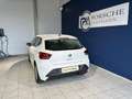SEAT Ibiza Reference Edition 1.0 80PS Weiß - thumbnail 4