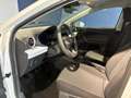 SEAT Ibiza Reference Edition 1.0 80PS Weiß - thumbnail 7