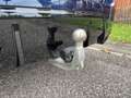 BMW 330 3-serie Touring 330e Lci M-Sport pro, panorama, tr Blau - thumbnail 24