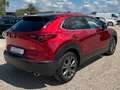 Mazda CX-30 Selection 2WD AUTOMATIK M-HYBRID *KAM*NAV* Rojo - thumbnail 6
