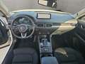 Mazda CX-5 Sports-Line +Matrix-LED+BOSE+360°KAMERA++ Blanc - thumbnail 12
