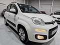 Fiat Panda 1.2 Lounge Blanco - thumbnail 3