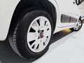 Fiat Panda 1.2 Lounge Blanco - thumbnail 22