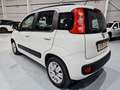Fiat Panda 1.2 Lounge Blanco - thumbnail 6