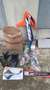 KTM 350 EXC WESS Arancione - thumbnail 6
