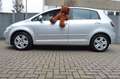 Volkswagen Golf Plus VI Comfortline 1.Hand Automatik Argent - thumbnail 7