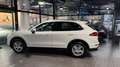 Porsche Cayenne S 3.6 V6*Panorama*BOSE*PCM*SHZ Blanc - thumbnail 12
