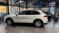 Porsche Cayenne S 3.6 V6*Panorama*BOSE*PCM*SHZ Blanc - thumbnail 7