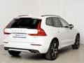 Volvo XC60 T6 AWD Recharge R-Design Expression *AHK* Weiß - thumbnail 6