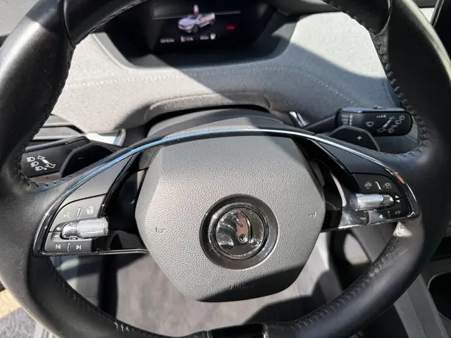 Skoda Enyaq view 17