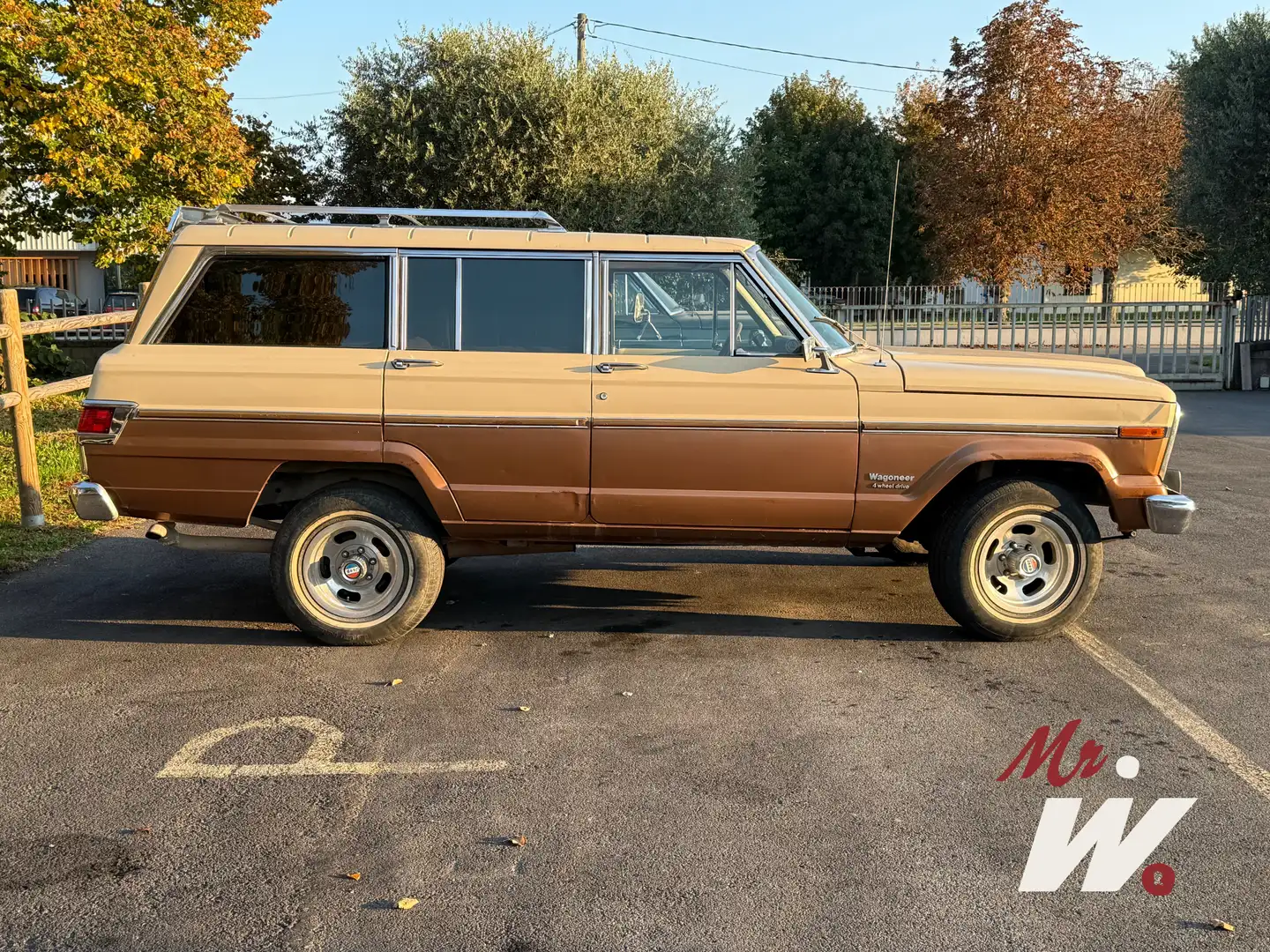 Jeep Wagoneer 1979  5900 Bronze - 1