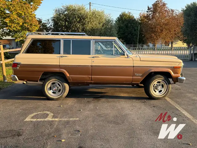 Jeep Wagoneer 1979  5900