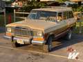 Jeep Wagoneer 1979  5900 Bronze - thumbnail 7