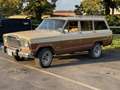 Jeep Wagoneer 1979  5900 Bronze - thumbnail 15