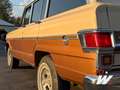Jeep Wagoneer 1979  5900 Bronze - thumbnail 3