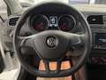 Volkswagen Polo 5p 1.0 Comfortline 75 CV Neopatentati Blanco - thumbnail 12