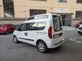 Fiat Doblo 1.6 MJT 120CV  Maxi SX TRASPORTO DISABILI E6 Bianco - thumbnail 5