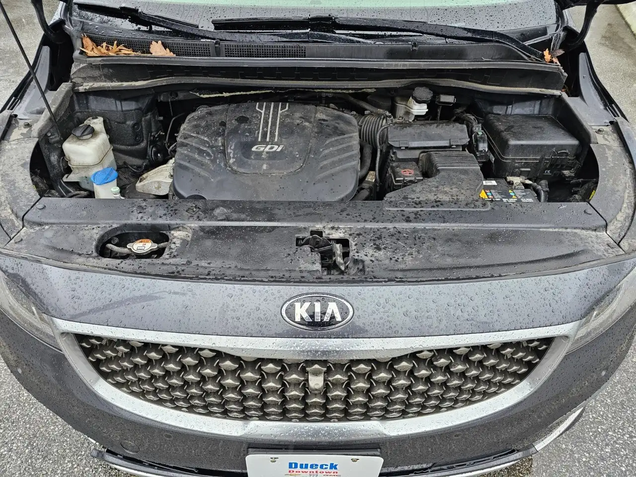 Kia Sedona снимка Kia Sedona
